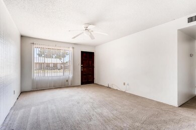 2322 W Olla Ave Mesa AZ 85202-large-003-