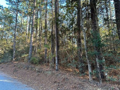 0 Lomas Rd, Hattiesburg, MS 39401 - photo 6