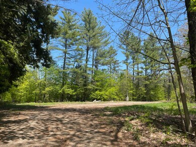 TO THE LEFT IS A CONCRETE SLAB PREVIOUSLY USED FOR A 68 FOOT LONG MOBILE HOME