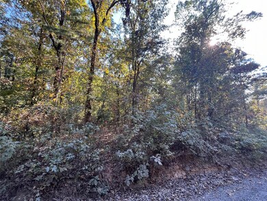 0 Tbd Sailfish Rd, Hochatown, OK 74728 - photo 5