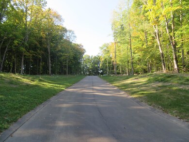 8735 Rainbows End Ct SE unit Parcel 4, Caledonia Township, MI 49316 - photo 3