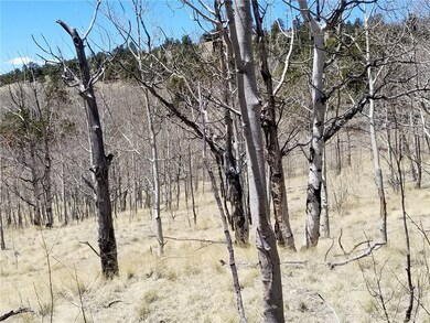 132 Grebe Ln, Como, CO 80432 - photo 7