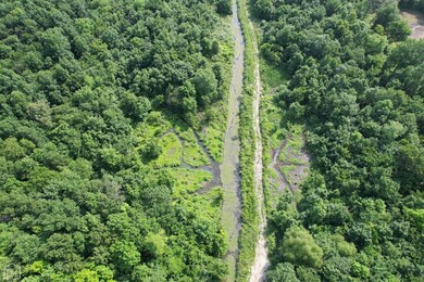 73 Highway 228, Bono, AR 72416 - photo 5