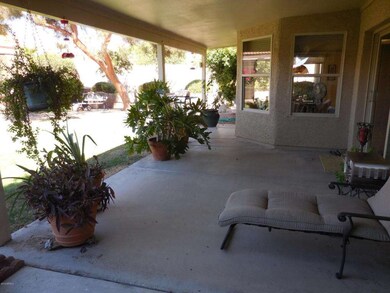 Back Patio