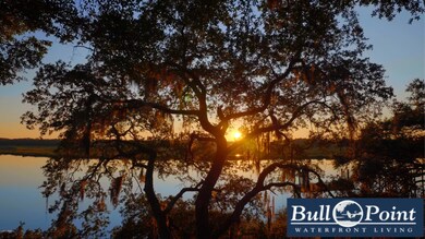 Bull Point - Sunset_Oak and Sunset.mov.0