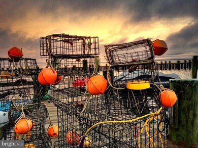 1301 Rogers Rd unit 4, Annapolis, MD 21409 - photo 6