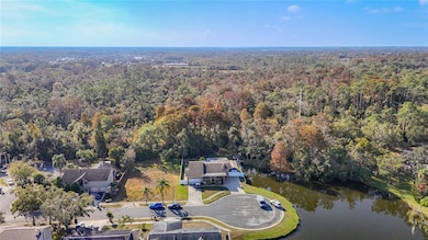 5904 Springrun Ct, Holiday, FL 34690 - photo 2