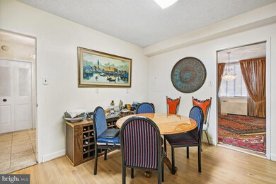 Skyline Plaza unit 115S, Baileys Crossroads, VA 22041 - photo 7