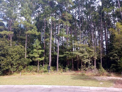 MLS 02 IMG_20181018_145050276