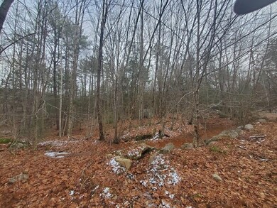 00 Morts Rd, Chesterfield, NH 03462 - photo 3