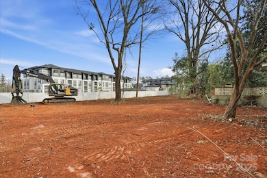 2520 Polly Pine St, Charlotte, NC 28269 - photo 2