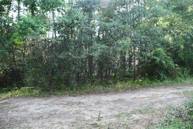 Lot 3 Cedar Ct, Plantersville, TX 77363 - photo 4