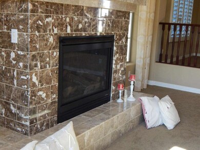 one of the gas fireplaces