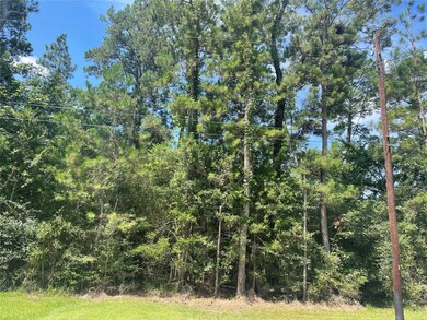 Lot 19 Clear Creek Forest 11, Magnolia, TX 77355 - photo 6