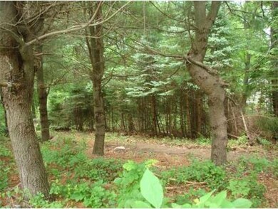 130 Floral St, Shrewsbury, MA 01545 - photo 5