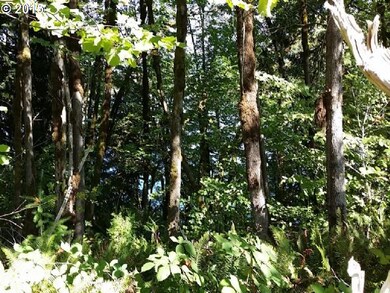 0 Two Lakes Ln unit 10 15115082, Triangle Lake, OR 97412 - photo 3