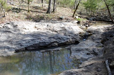 14687 Slaty Gap Rd, West Fork, AR 72774 - photo 4