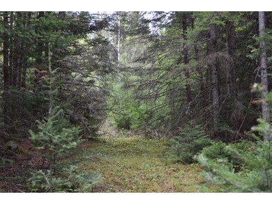 5 Abigails Cir, Jefferson, NH 03583 - photo 5