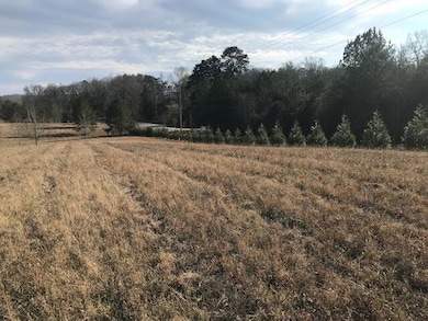 2367 Daugherty Ferry Rd, Sale Creek, TN 37373 - photo 2