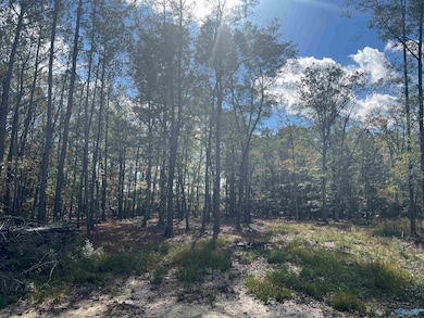 2050 Heritage Ln SW, Hartselle, AL 35640 - photo 6