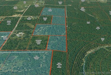 4 Darcy Dr, Vian, OK 74962 - photo 4