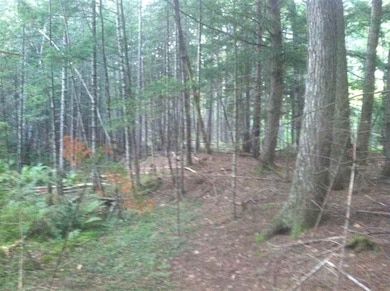 136 Sodom Rd, Center Tuftonboro, NH 03816 - photo 2