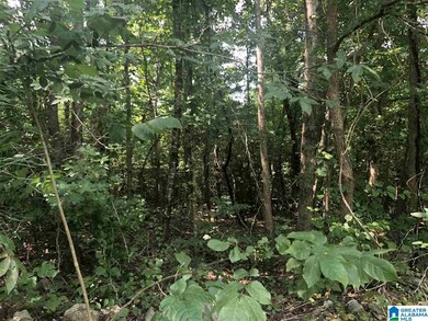 8346 Cedar Mountain Rd unit 5 & 6, Pinson, AL 35126 - photo 4