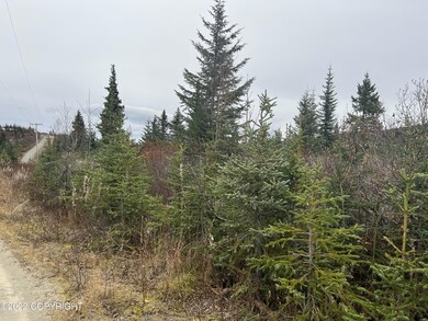 32814 Stacey Ln, Anchor Point, AK 99556 - photo 4