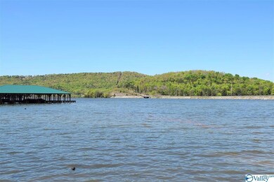 45 Snug Harbor Rd, Grant, AL 35747 - photo 4