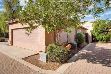 2562 E RIVIERA DR Chandler AZ-large-003-