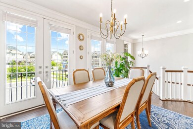 25043 Cambridge Hill Terrace, Chantilly, VA 20152 - photo 6