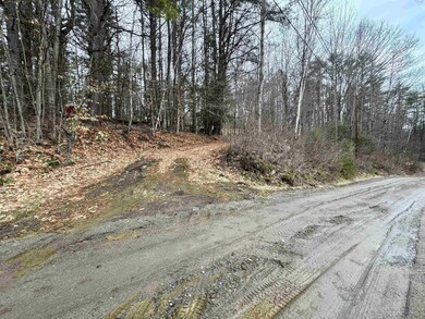 170 Hodge Hill Rd, Lisbon, NH 03585 - photo 3