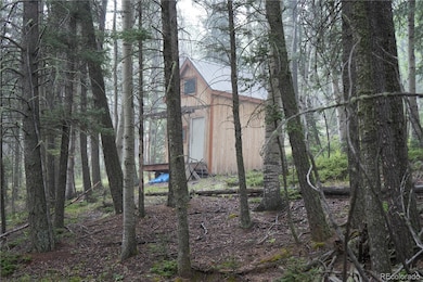 28 Feldspar Rd, Florissant, CO 80816 - photo 7