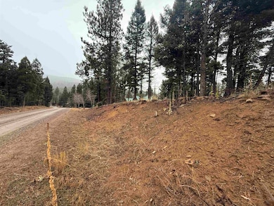 Lot 99 Via Del Rey, Angel Fire, NM 87710 - photo 4