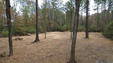 Parcel 2-A Hano Rd, Independence, LA 70443 - photo 3