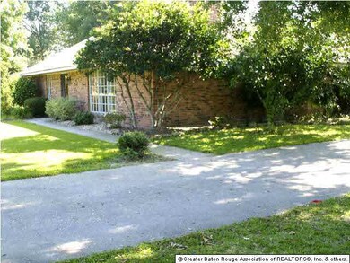 Front View Crepe Myrtles