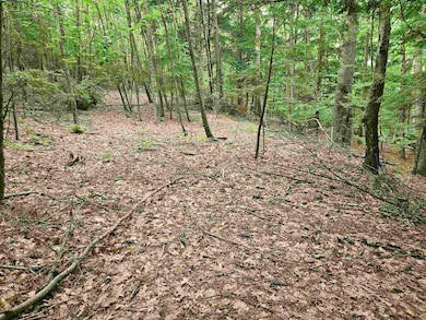 Map 132 Lot 115 Arrowhead Ln, Gilmanton, NH 03237 - photo 2