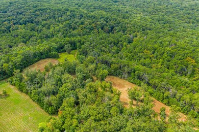 Long-Branch-Preserve-Lot-18-Photos-3