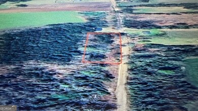 0 Spencer Rd, Dixie, GA 31629 - photo 5