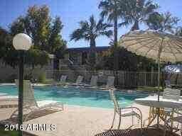Clambake pool