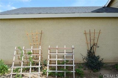 Fresh berries growing right at your front door - n
