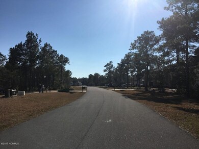 319 E Dolphin View, Sneads Ferry, NC 28460 - photo 2