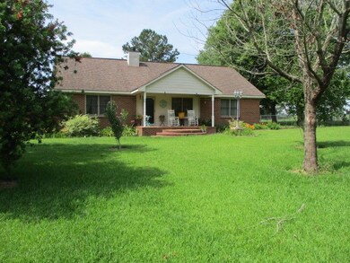 805 W Bay Ave, Doerun, GA 31744 - photo 2