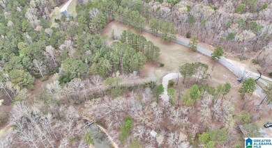 0 Frankies Rd unit 21413440, Vincent, AL 35128 - photo 4