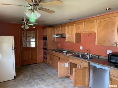 924 N Crafford St, Bushnell, IL 61422 - photo 3