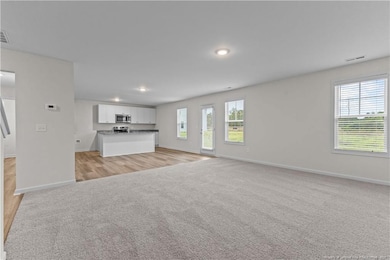 3224 Peruvian Ct, Fayetteville, NC 28348 - photo 3