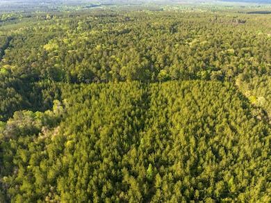 000 Breakfield Ln, Columbia, MS 39429 - photo 2