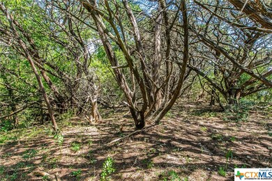 000 Little Mexico Rd, Temple, TX 76504 - photo 5