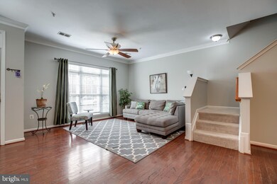 42225 Terrazzo Terrace, Stone Ridge, VA 20105 - photo 5