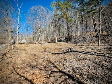 Front Portion of Lot